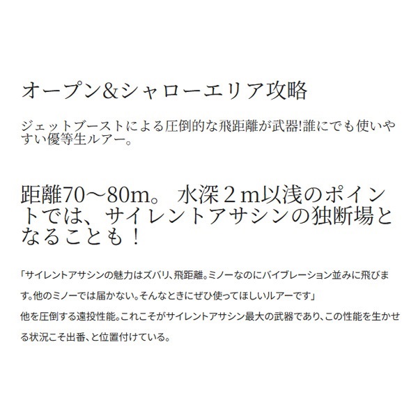 EXSENCE サイレントアサシン 129S AR-C